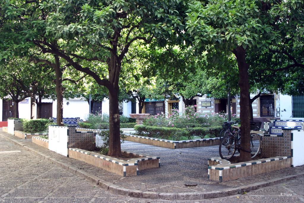 Hotel Dona Lina Sevilla Kültér fotó